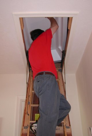 pull down attic stair insulation